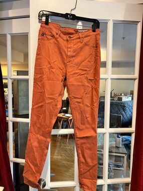 Anthropologie Men's Corduroy Pants in Rust
